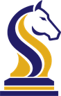 Strategies Studio